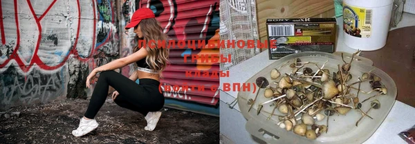 эйфоретик Вязьма