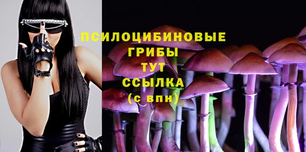 эйфоретик Вязьма